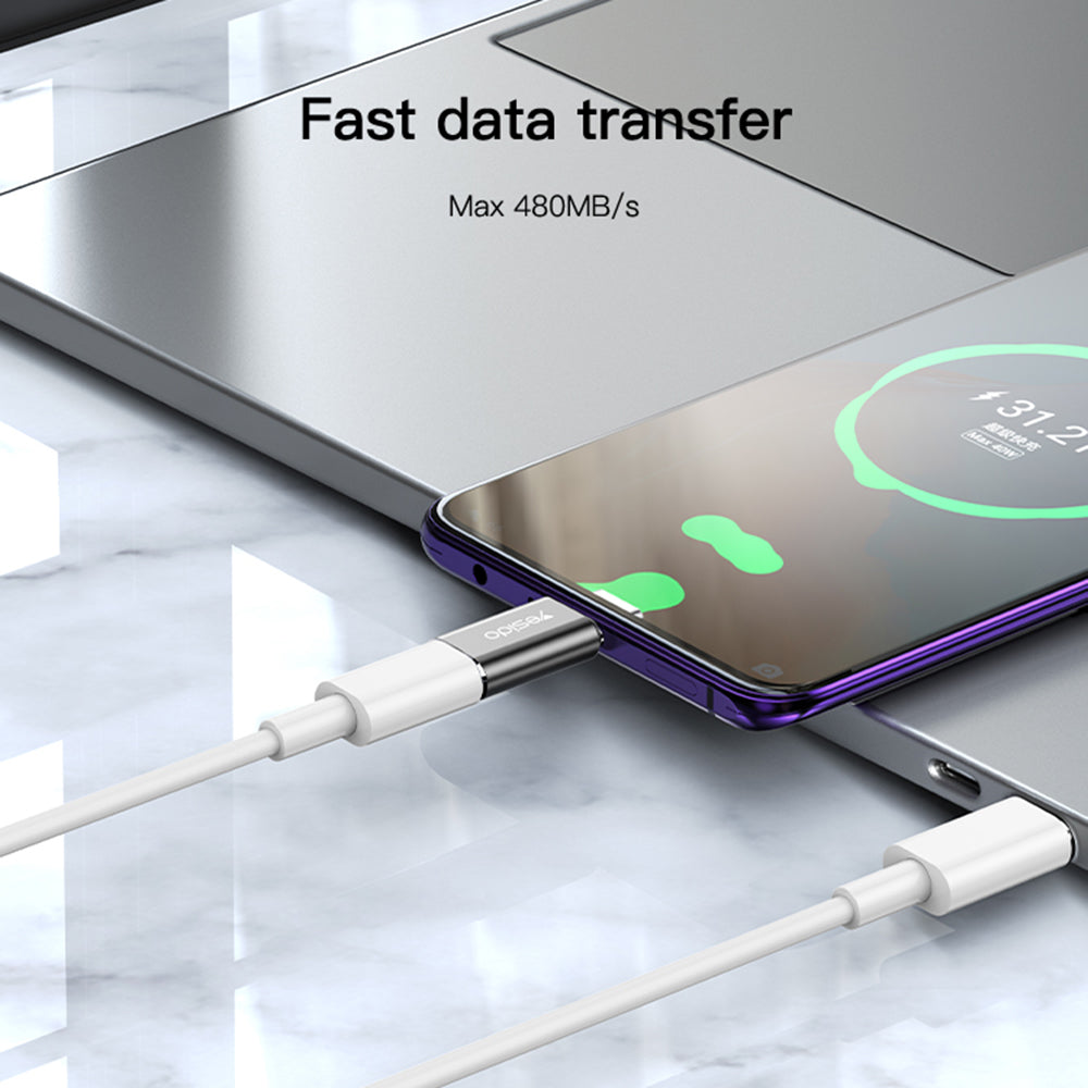Adapter Data en Opladen Lightning - USB-C Yesido GS22, Gri