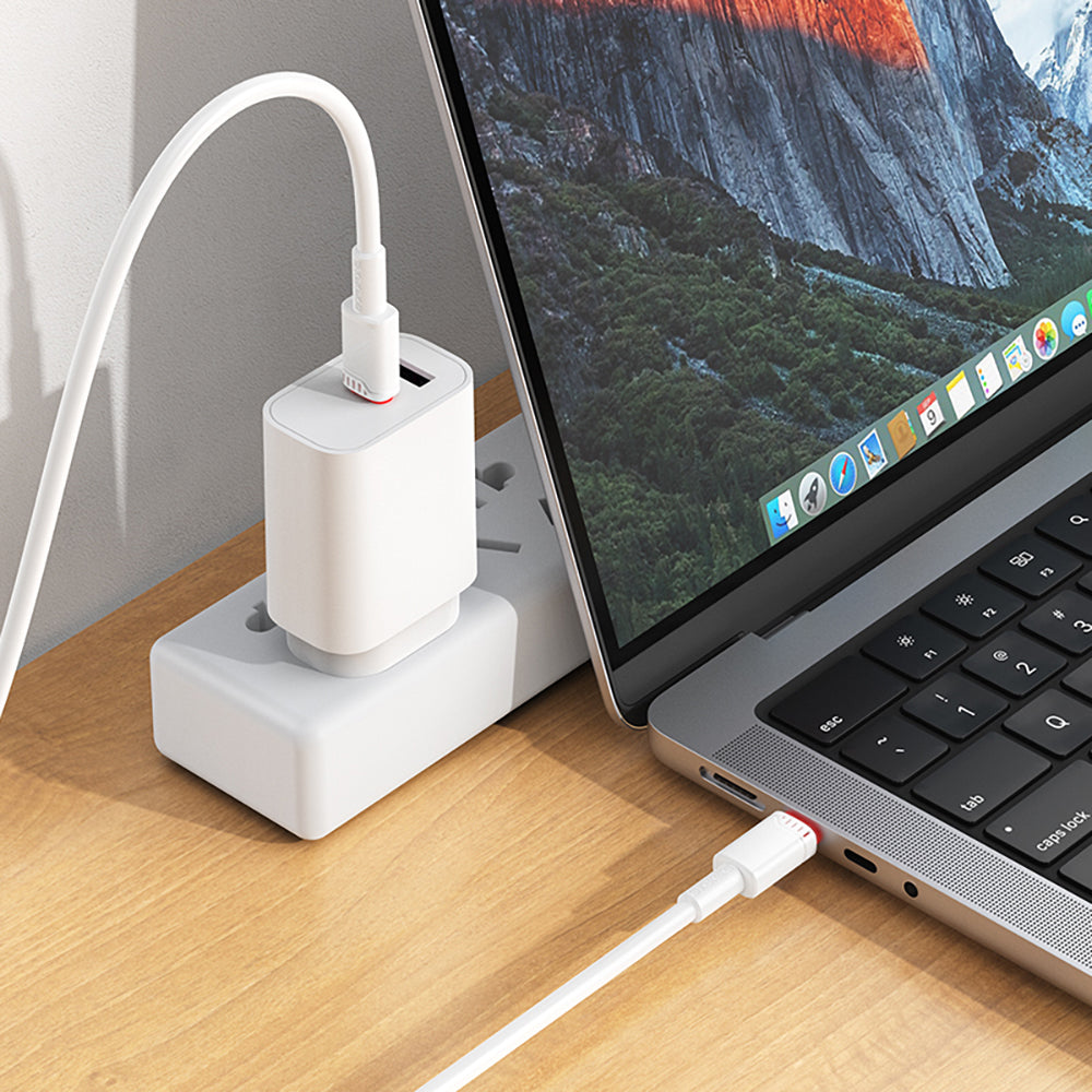 Data- en Oplaadkabel USB-C - USB-C Borofone BX110 Beneficio, 60W, 1m, Wit