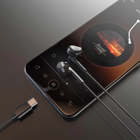 Handsfree USB-C Dudao X3C, Zwart
