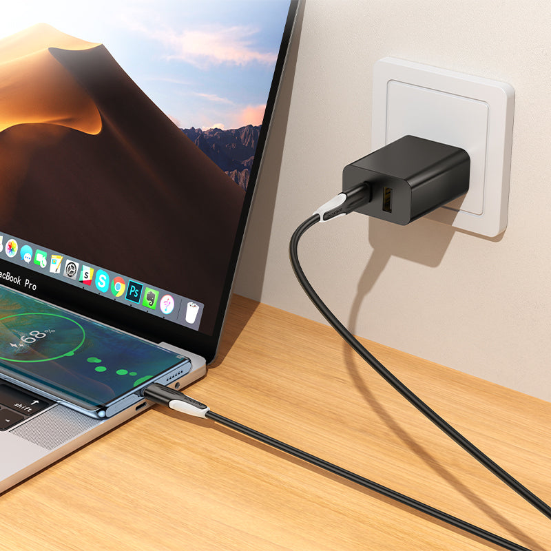 USB-C - USB-C Datakabel en Oplaadkabel Borofone BX119 New, 60W, 1m, Zwart