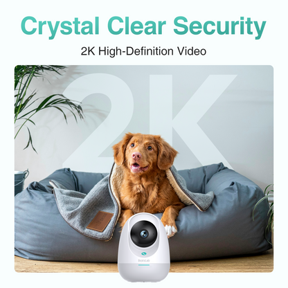 Bewakingscamera Botslab 2E Pro C213, Wi-Fi, 2K, Binnen 