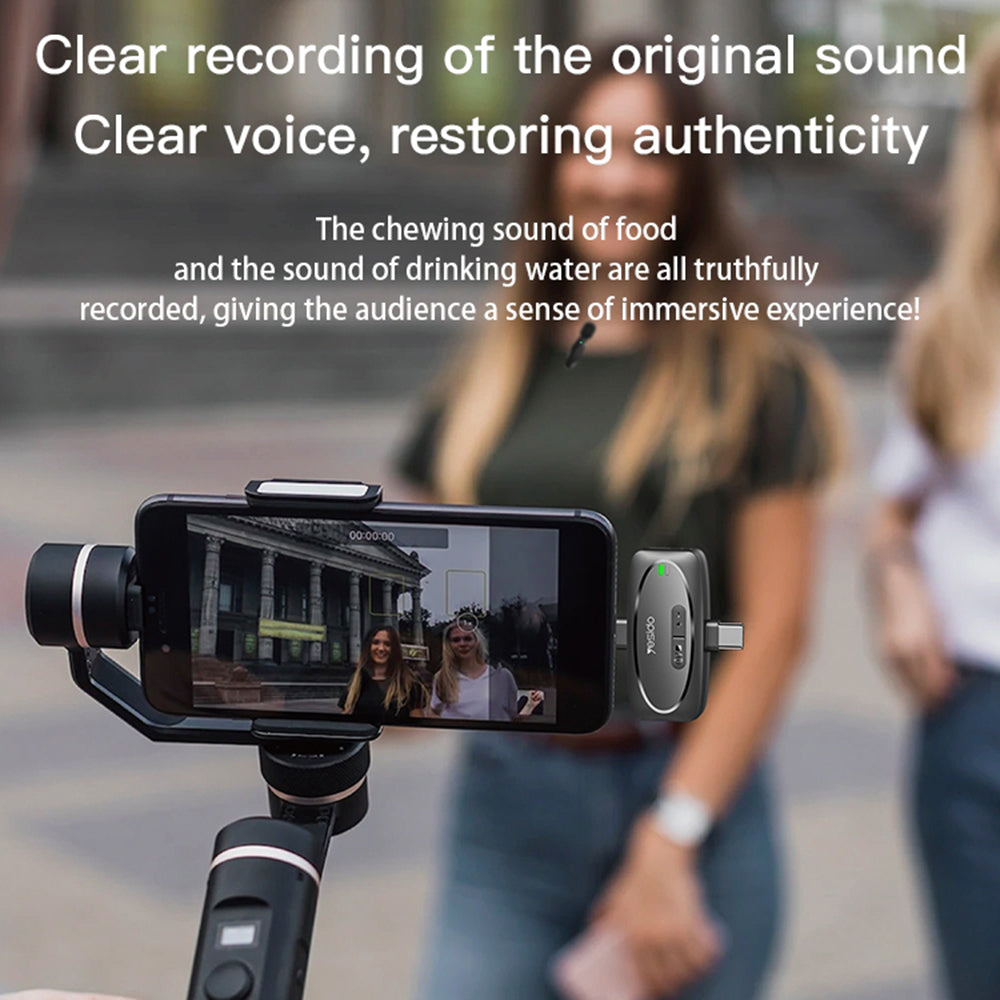 Yesido KR15 Lavalier, USB-C / Lightning, Set of 2 pieces, Black