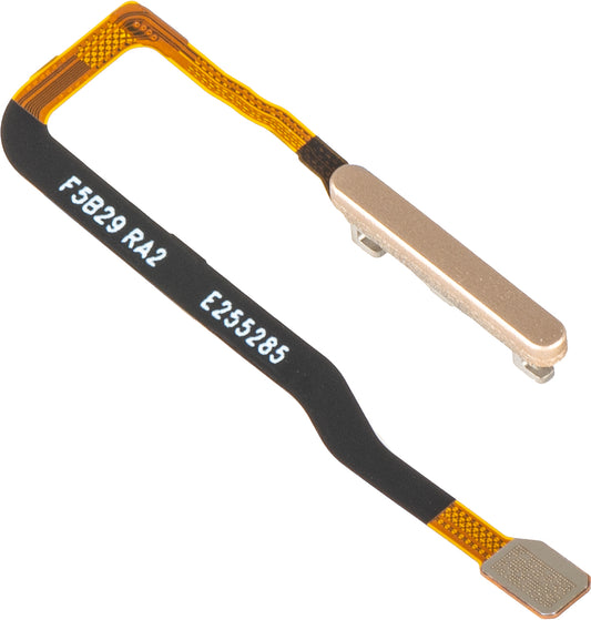 Honor Magic V6 vingerafdruksensor, met band, goud, Service Pack 2310AAKT