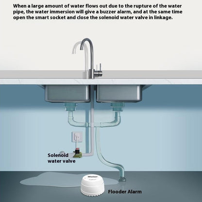 Waterlekkage Detectiesensor OEM SQ500B, Wi-Fi