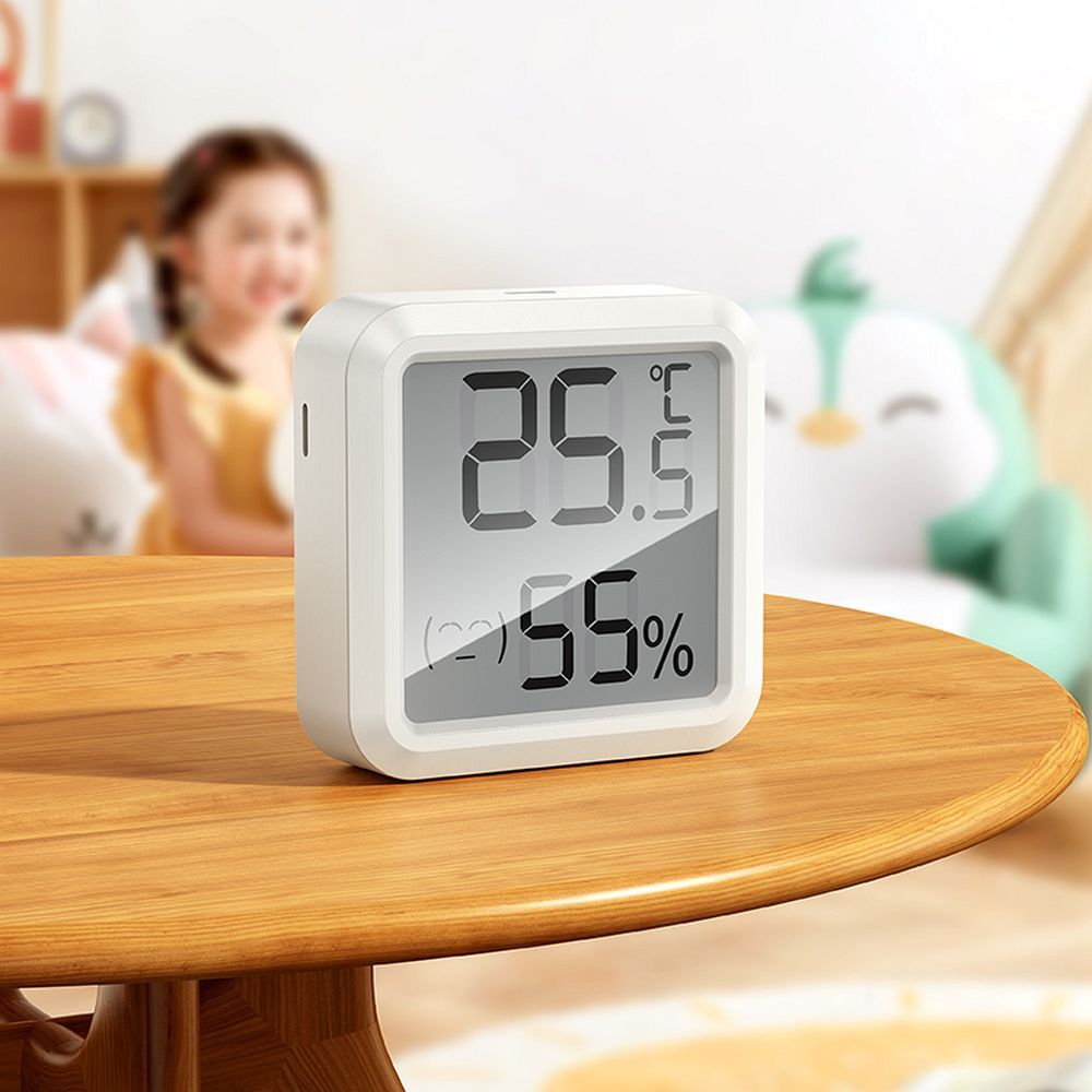 Temperatuur- en Vochtigheidsstation HOCO HX40