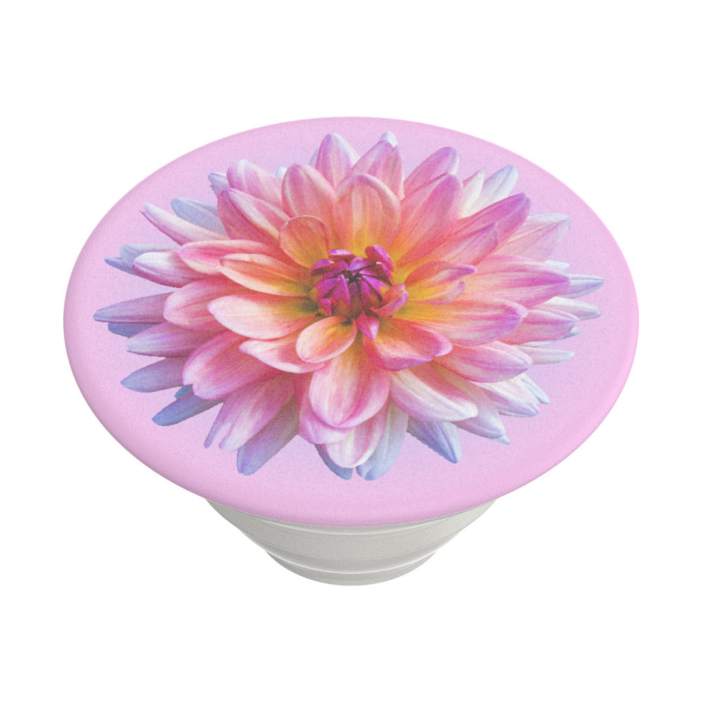 PopGrip Popsockets Dahlia Icon, Meerkleurig