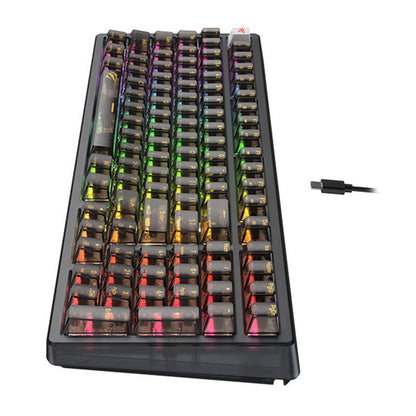 Gaming Toetsenbord Wired USB HAVIT KB875L, RGB, 1.8m, Zwart Transparant